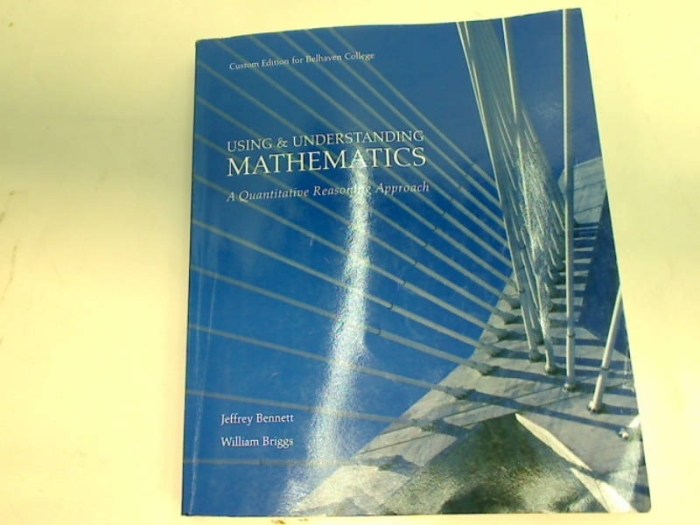 Using and understanding mathematics 6th edition