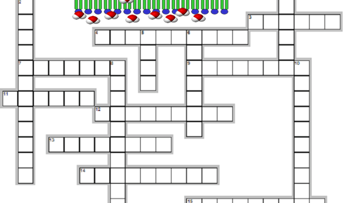 Diffusion and osmosis crossword puzzle answer key